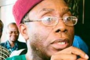 ... Chief <b>Audu Ogbeh</b>, has pointed out that Nigeria is fast becoming a ... - Ogbeh-290x195