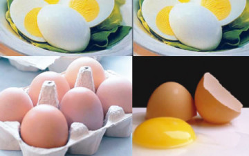 eggs-3604455665