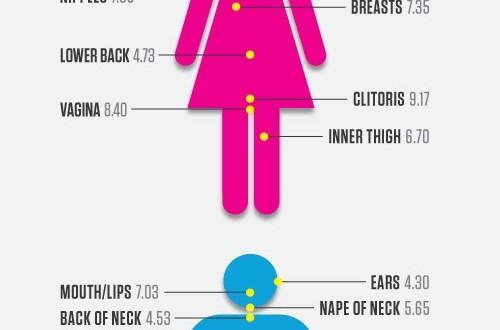 Diagram Diagram Of Female Hot Spots Mydiagramonline 