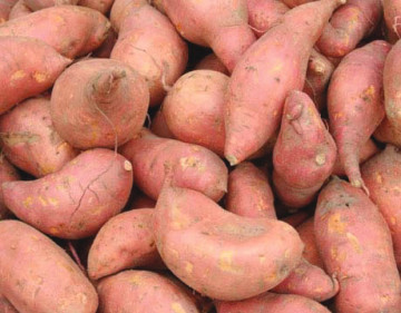 sweet-potatoes-360x281