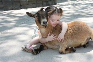 cute-girl-with-goat