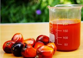 Health Benefits Of Palm Oil 