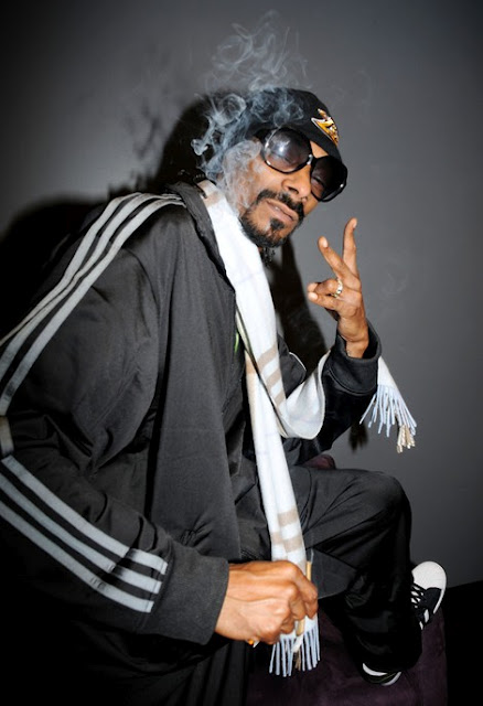 did snoop dogg change his name to snoop lion