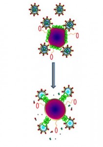 Anti-HIV nanoparticles
