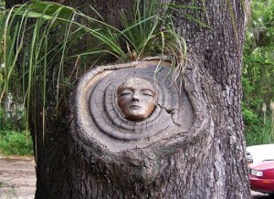 Tree-Spirits-on-Saint-Simmons-island-550x400