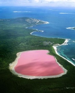 pink-lake2-550x681-2