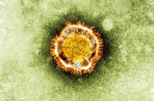 Coronavirus