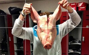 PIG HEAD