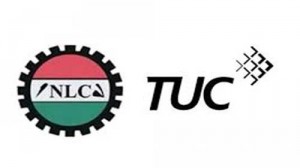 TUC-NLC