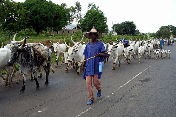 fulani-herdsmen