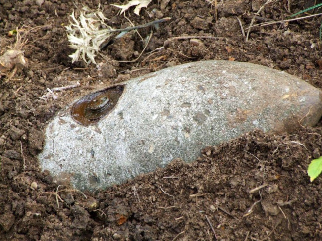 GOOGLE IMAGE: LIVE BOMB BURIED IN THE GROUND 