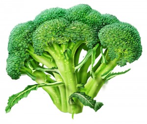 broccoli-alone