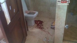 Oscar Pistorius's bloodied bathroom where Reeva Steenkamp was shot. Photo: Sky News 