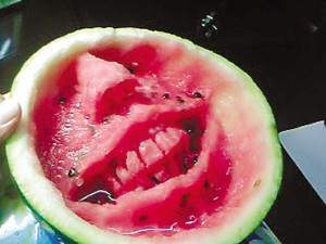 watermelon-carving6