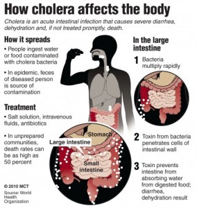 cholera sensit