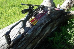 Texas-man-gets-two-years-in-jail-for-shooting-dog-with-crossbow