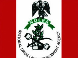 NDLEA-Logo1