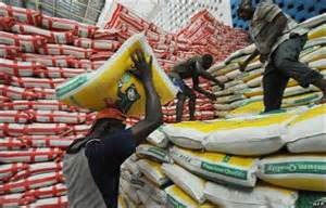 rice importation