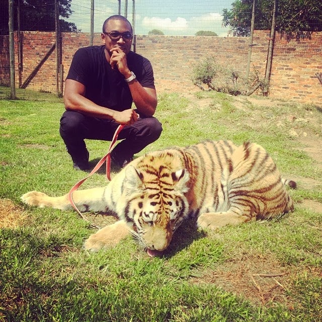 Image result for Sesan Ogunro and his Tiger