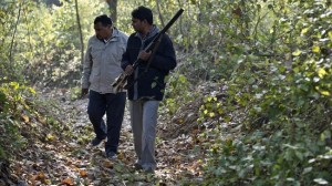 Uttar Pradesh State government’s Assistant Conservator of Forests Mahesh Chandra (L) looks for tiger marks with forest guard Mahipal in the woods near the village of Barahpur. Photo: AFP 