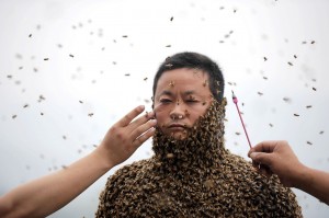 Beekeeper-covers-himself-with-more-than-460000-bees-3396745