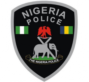 Nigeria-Police-Force13-300x277