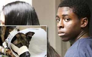 ivins_rosier_teen_sentenced_23_years_killing_police_dog