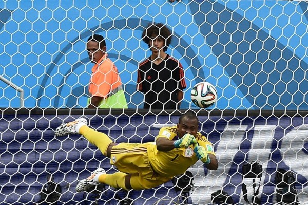 Vincent Enyeama Has Lauded Nigerian Government Over Ebola. Image: Getty.