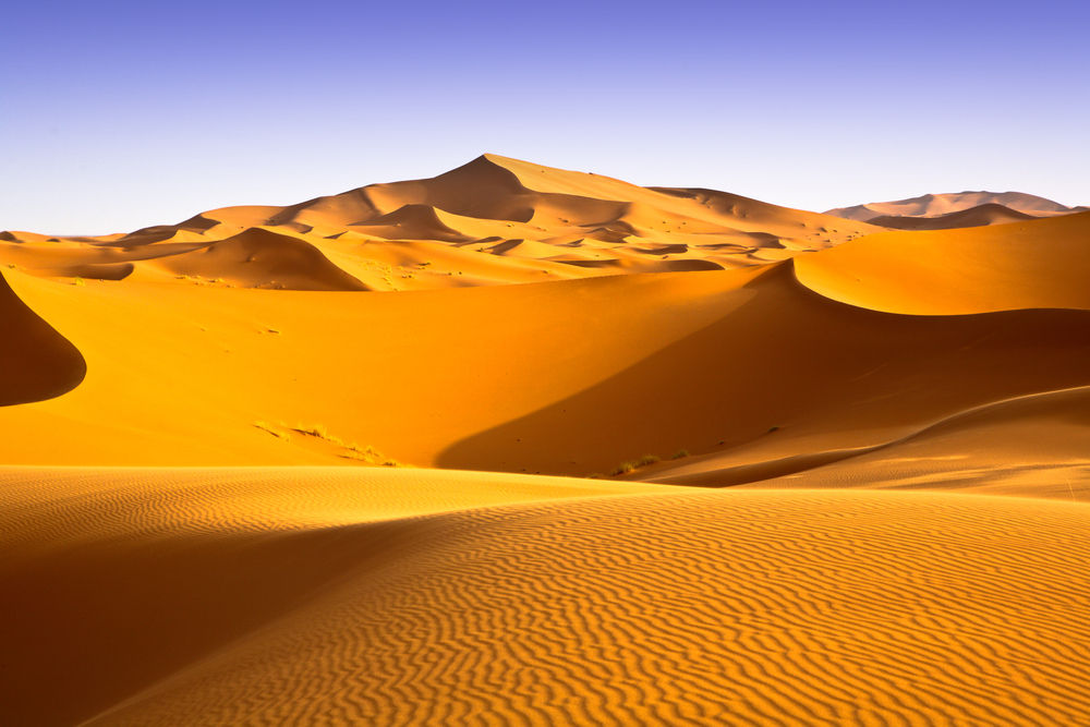 sahara