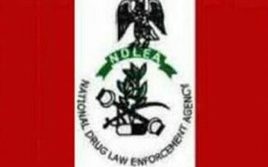 NDLEA Nabs Two Suspects For Selling Cannabis To Schoolchildren