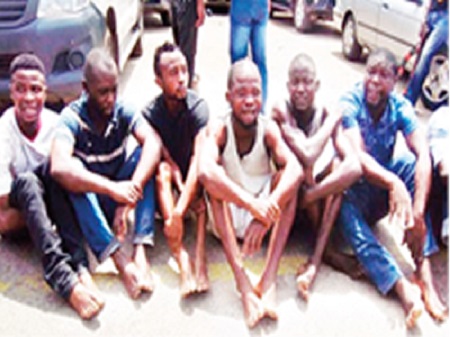 Notorious Cultists Terrorizing Residents Of Sagamu Arrested By The Police Photo Information Nigeria
