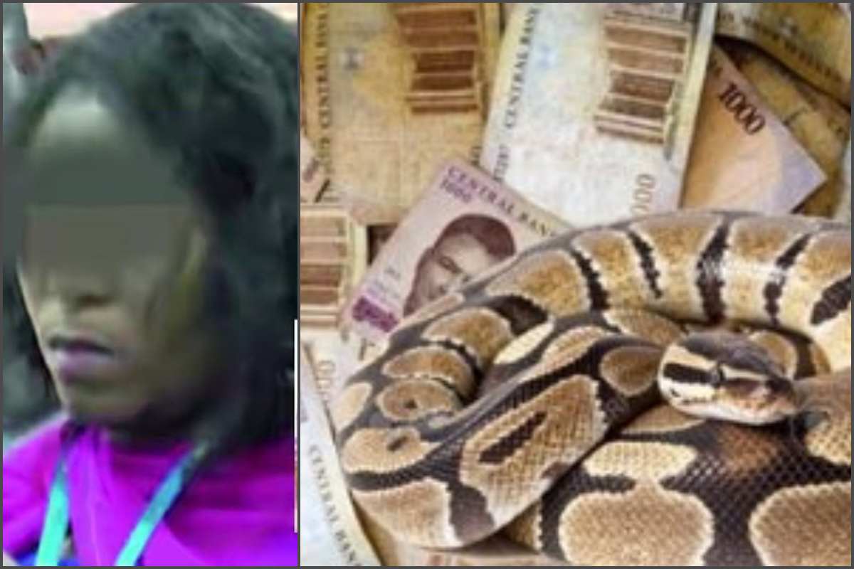 EFCC finally arraigns woman, others who claimed a snake swallowed JAMB's N35m