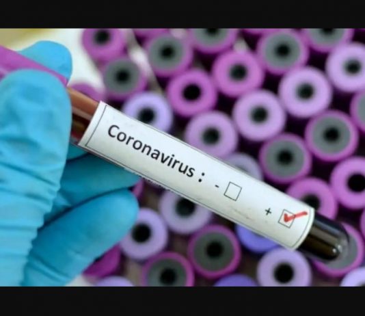 Coronavirus Hits south africa