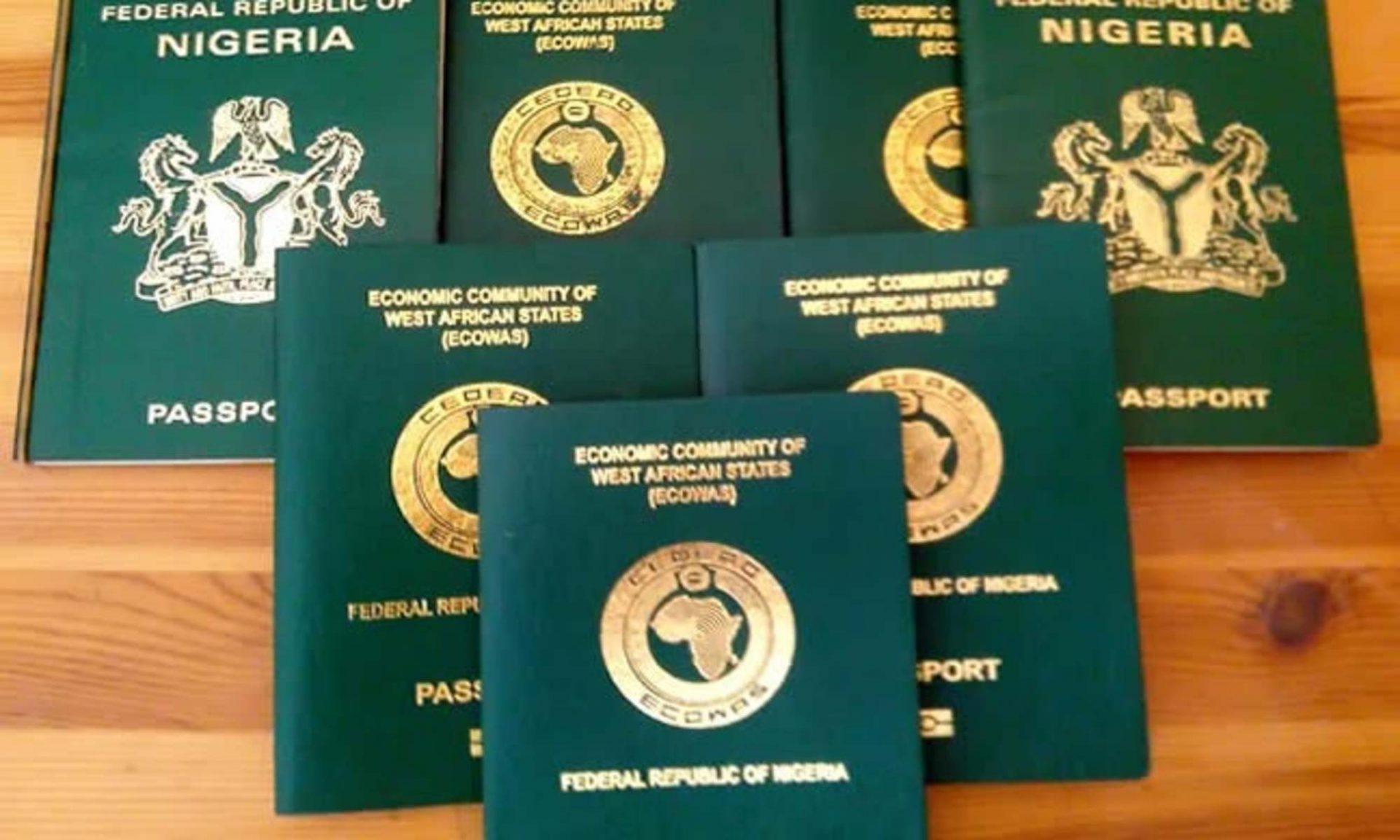 Immigration Service Resumes Issuance Of Passport 7641