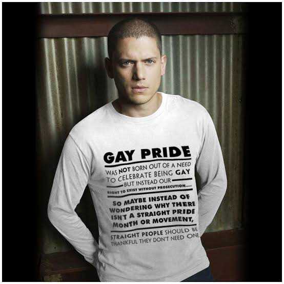 I Am Gay, I no longer want to play straight characters — Prison Break star, Wentworth Miller