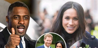 You Can't Take Someone's Voice Away - Idris Elba Supports Meghan Markle