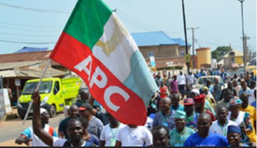 APC National Secretary Alleges Plot To Remove Him