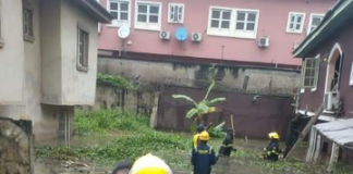 Rescuers saving flood victims in Lagos