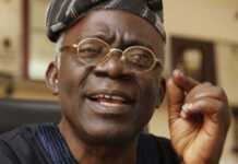 Femi Falana