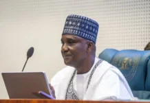 The Speaker of the House of Representatives, Abbas Tajudeen, on Saturday, said the Green Chamber would work to ensure that traditional rulers have constitutional roles.