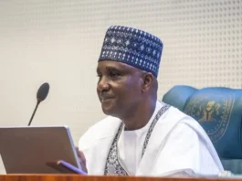 The Speaker of the House of Representatives, Abbas Tajudeen, on Saturday, said the Green Chamber would work to ensure that traditional rulers have constitutional roles.