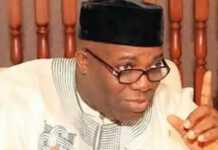 Doyin Okupe,