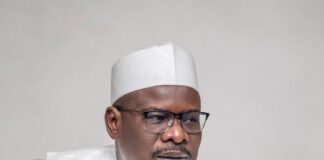 Ali Ndume