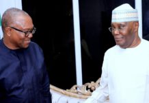 Atiku Abubakar, Peter Obi