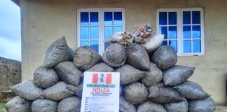 NDLEA Intercepts Cocaine, Opioids Concealed In Shoe Soles, Custard Containers