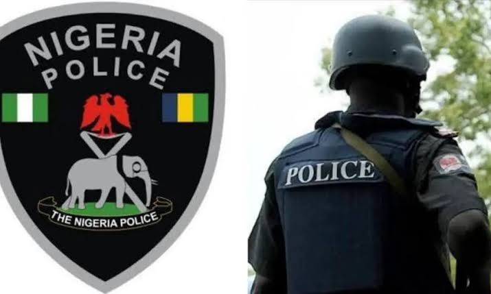 Police Neutralize Notorious Robber, Burakita, Arrest 92 Suspects In Kano